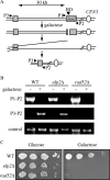 FIG. 2.