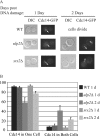 FIG. 8.