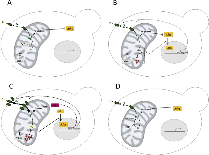 Fig. 8