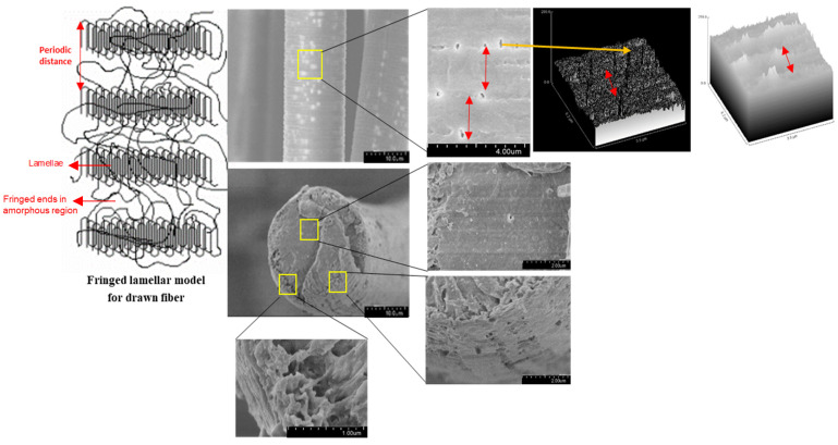 Hydrolytic Degradation of Polylactic Acid Fibers as a Function of pH ...