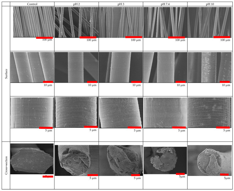 Hydrolytic Degradation of Polylactic Acid Fibers as a Function of pH ...