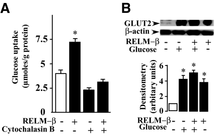 FIG. 5.