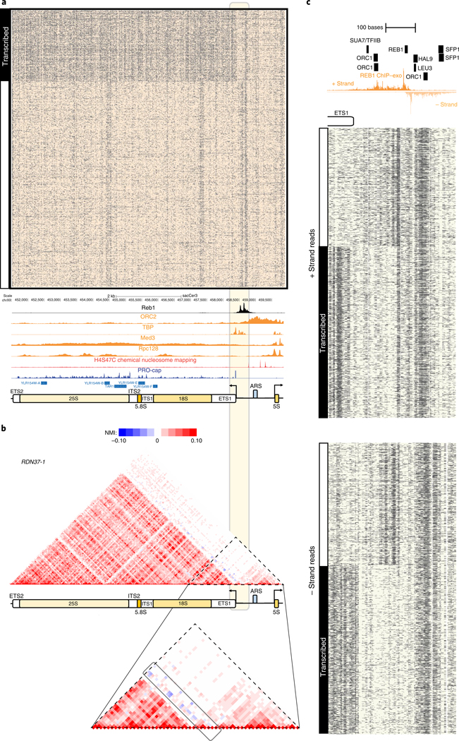 Fig. 3 |