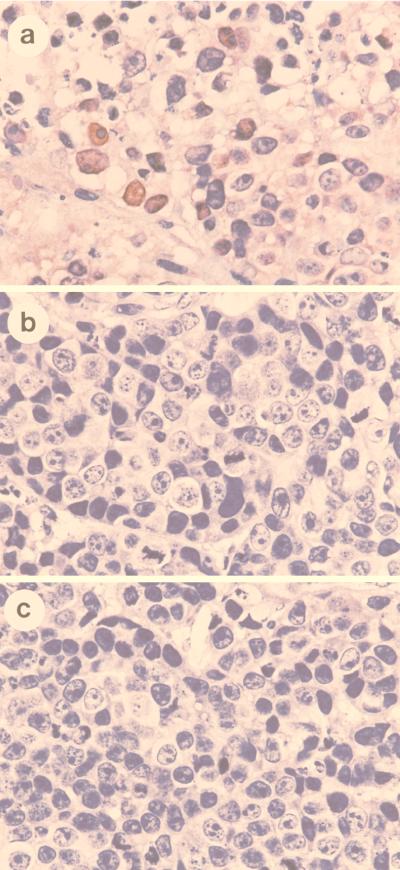 FIG. 7