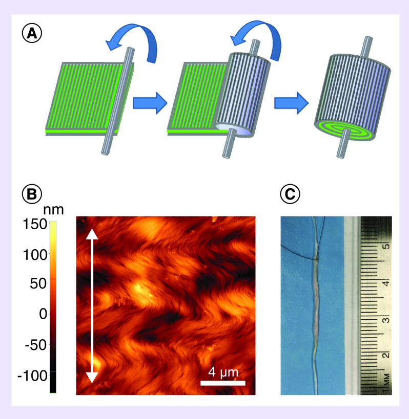 Figure 1. 