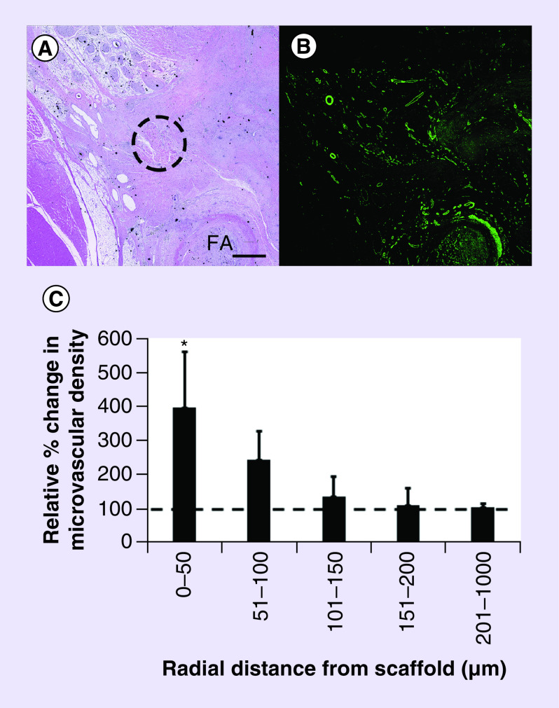 Figure 6. 