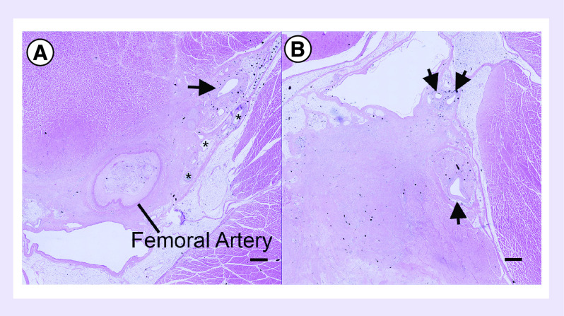 Figure 5. 