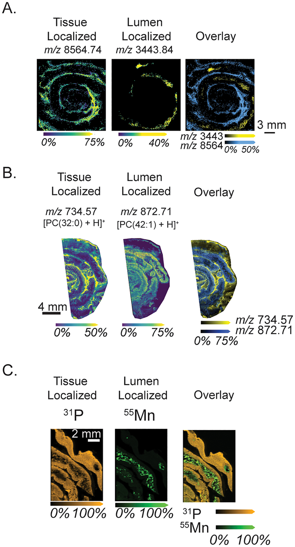 Figure 2.