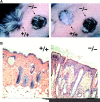 Figure 10.