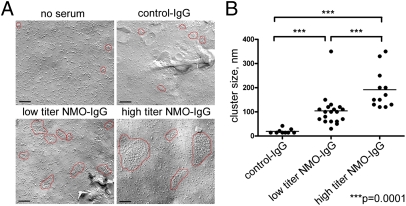 Fig. 3.