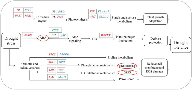 Figure 10