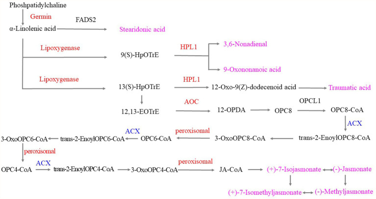 Figure 9