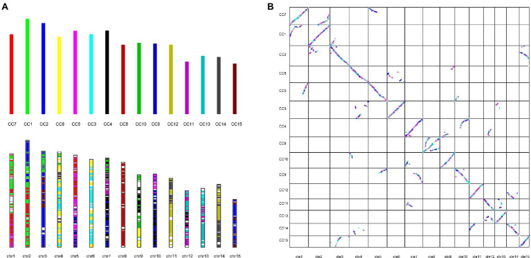 Figure 5