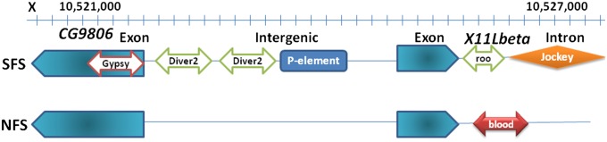 Fig. 1.