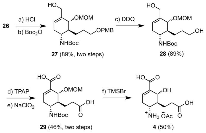 Scheme 3