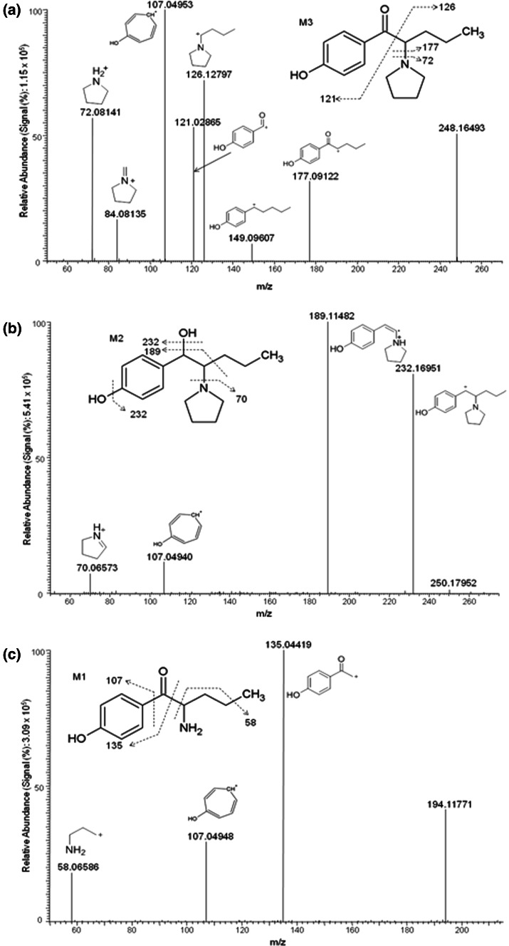 Fig. 2