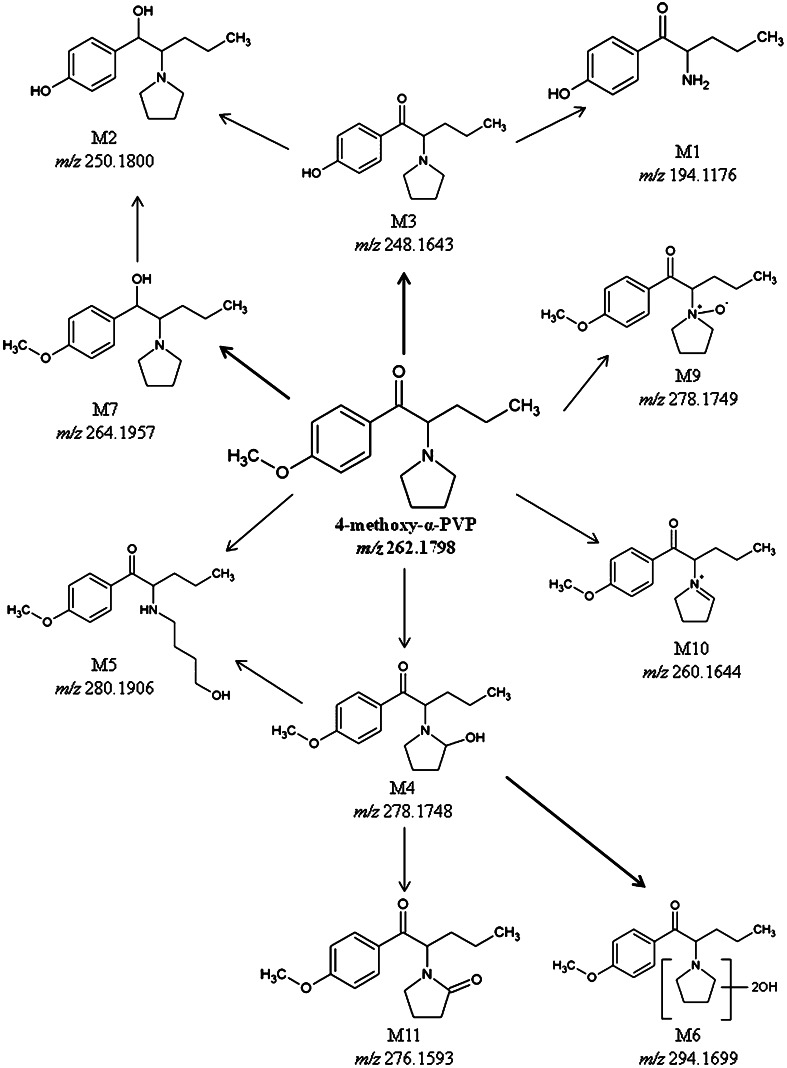 Fig. 6