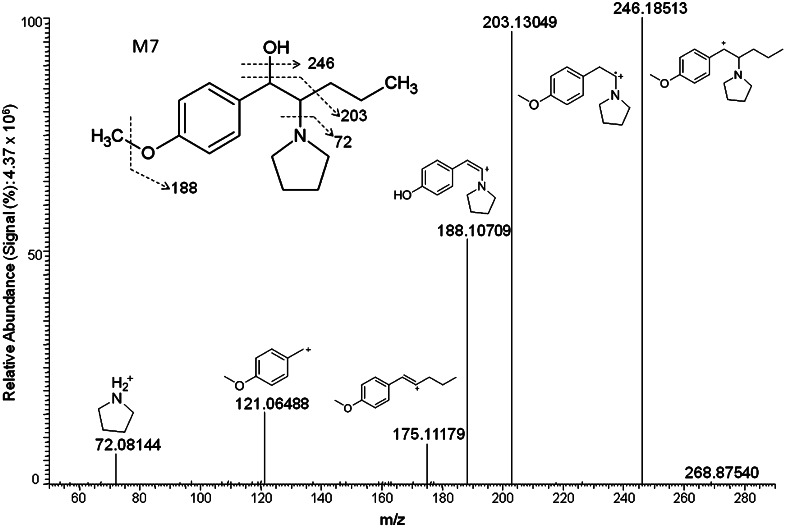 Fig. 4