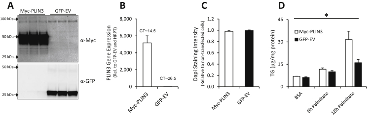 Figure 6