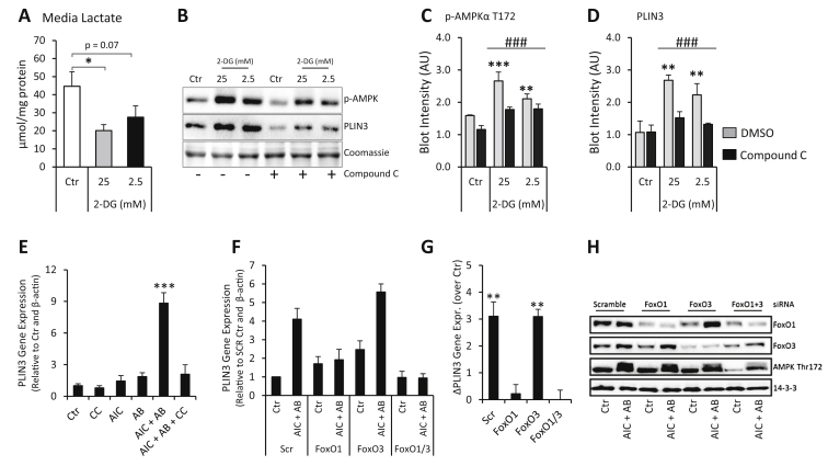 Figure 5