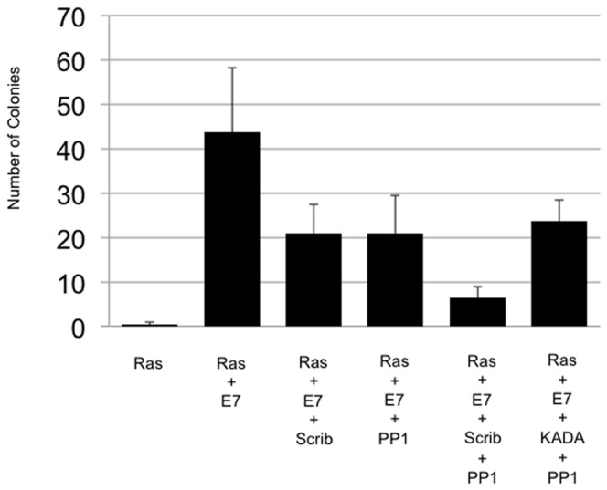 Figure 7