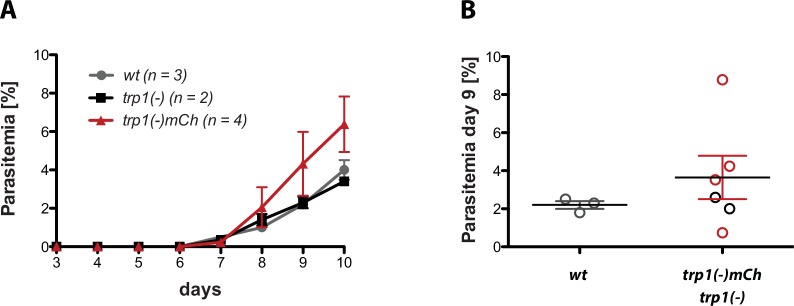 Figure 2—figure supplement 3.