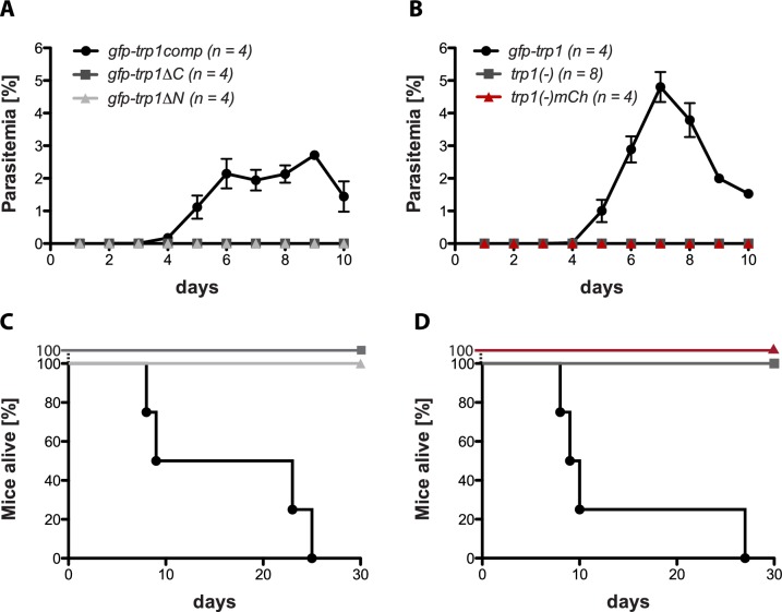 Figure 4—figure supplement 2.