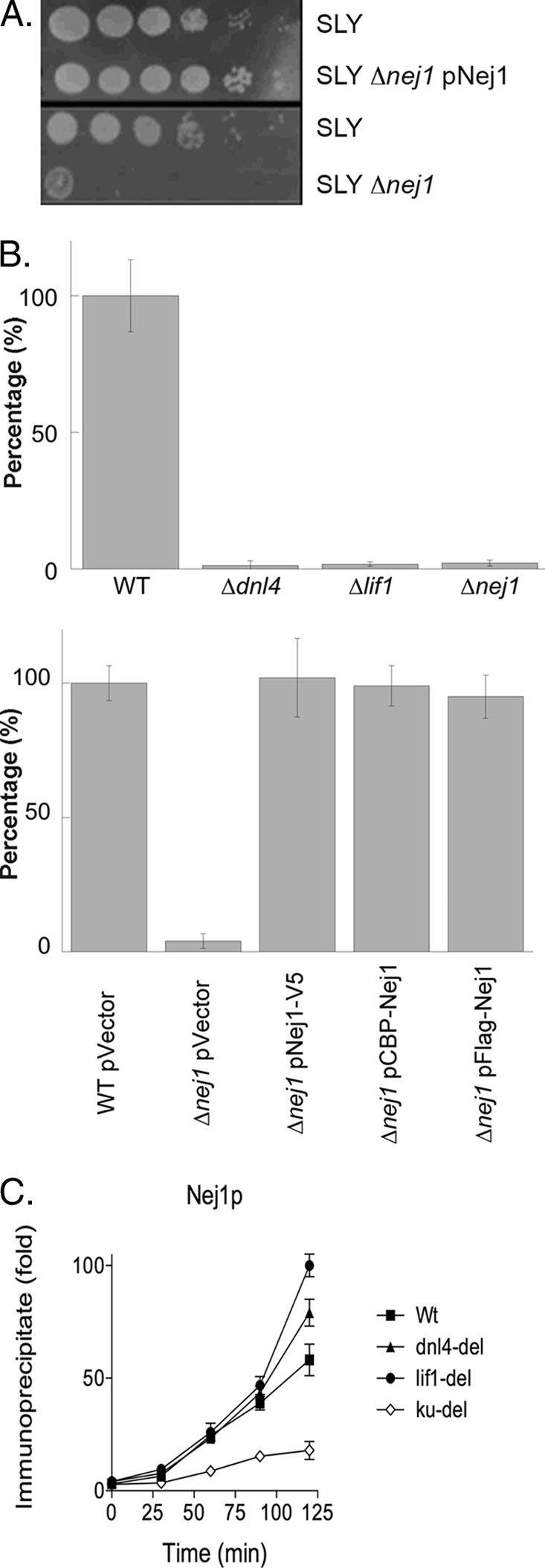 FIGURE 1.