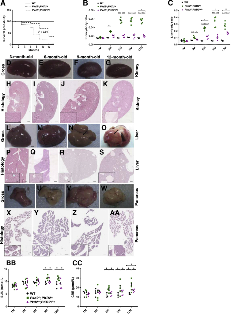 Figure 7