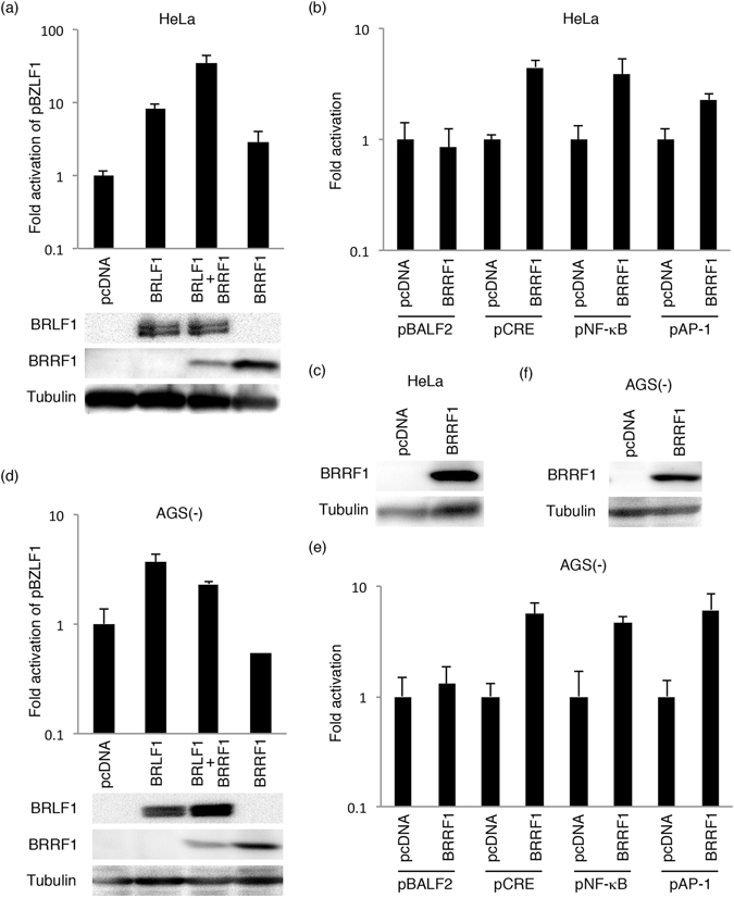 Figure 6