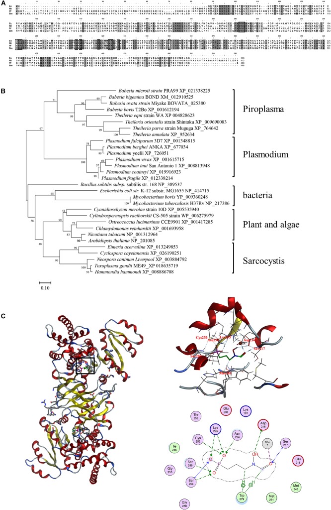 FIGURE 1