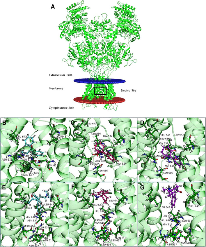 Fig. 2