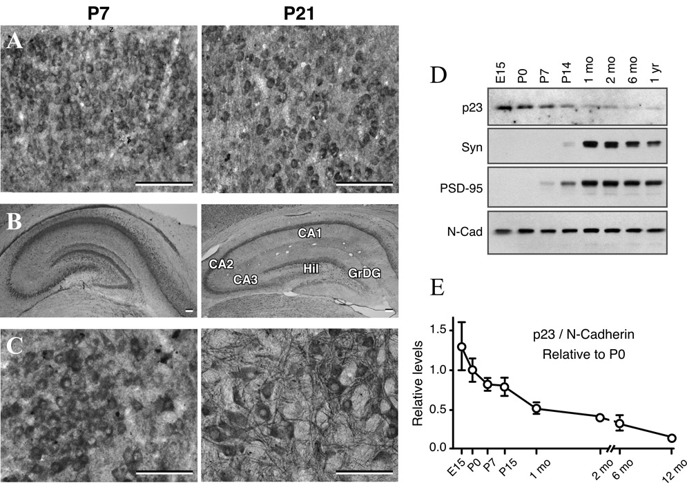 Fig. 10