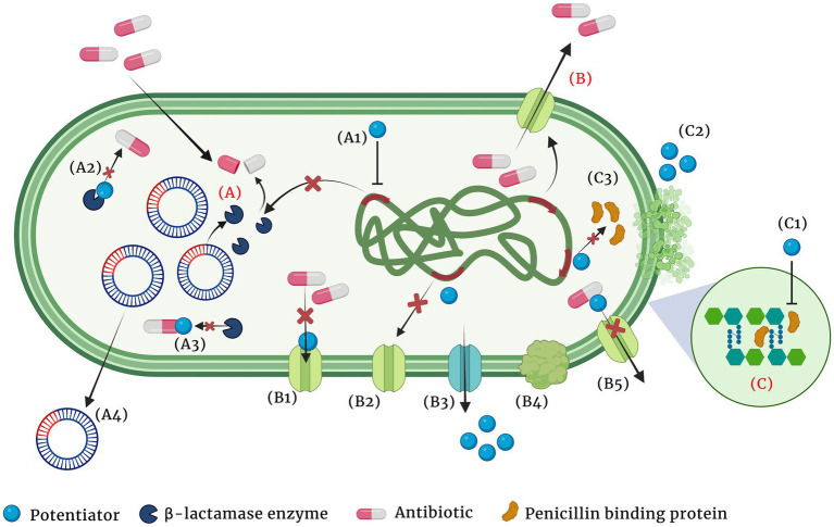 Figure 2