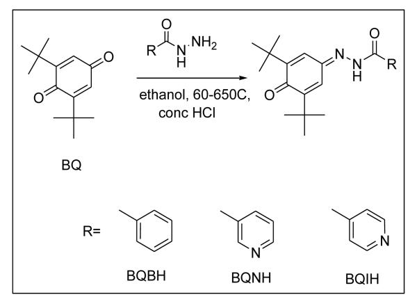 Scheme 1