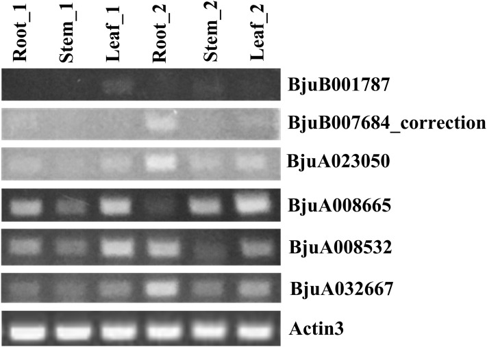 Figure 10