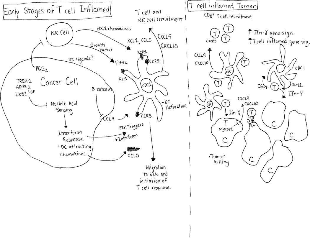 Figure 1 Legend: