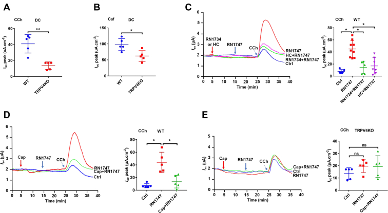 Figure 2