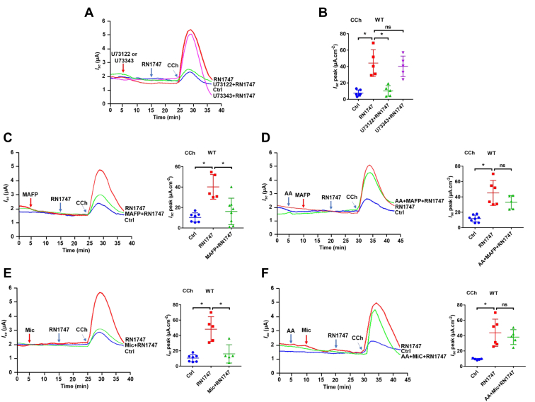 Figure 3