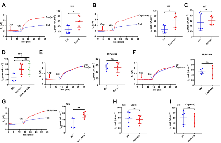 Figure 5