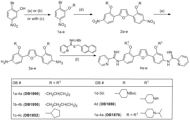 Scheme 1