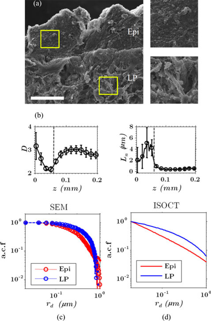 Fig. 14