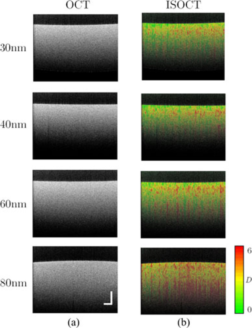 Fig. 13