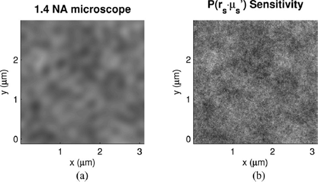 Fig. 11