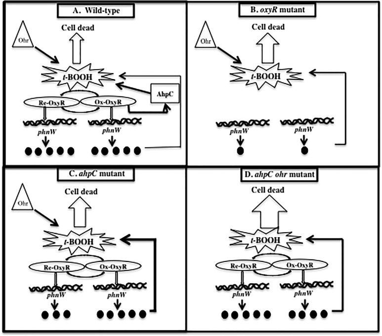 Fig 7