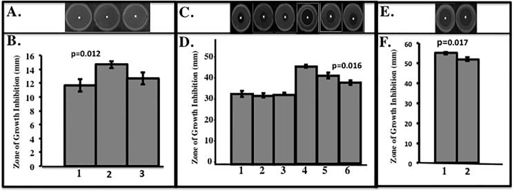 Fig 5