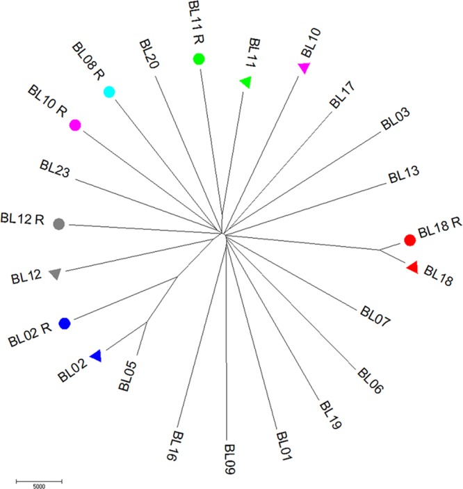 FIG 2 