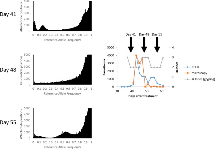 FIG 4 