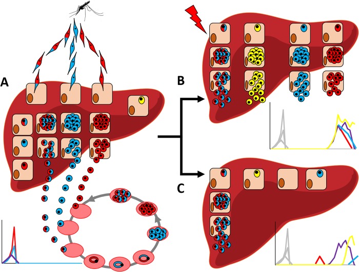 FIG 5 