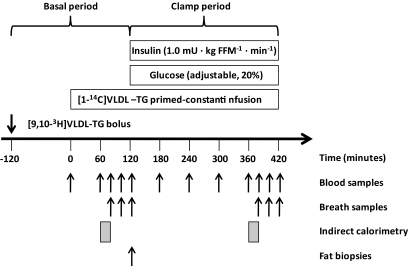 FIG. 1.